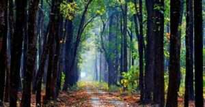 Raymatang ( রায়মাতাং )